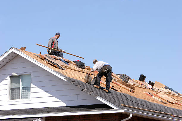 Roof Insulation in South Jacksonville, IL